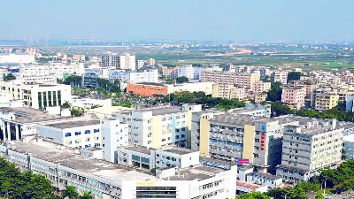 冬至陽生，春歸有期丨靈科超聲波與您共迎歲末暖陽
